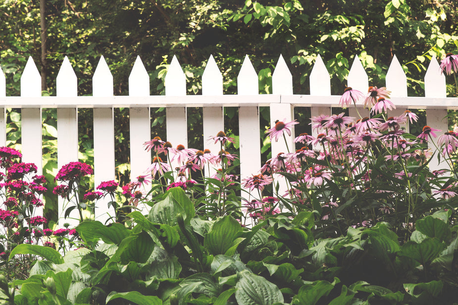 Wooden Fence Rustic LTD