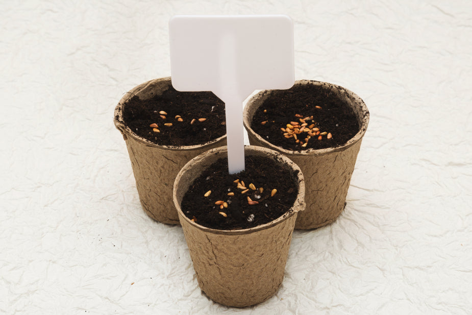 Biodegradable cardboard pots Rustic LTD